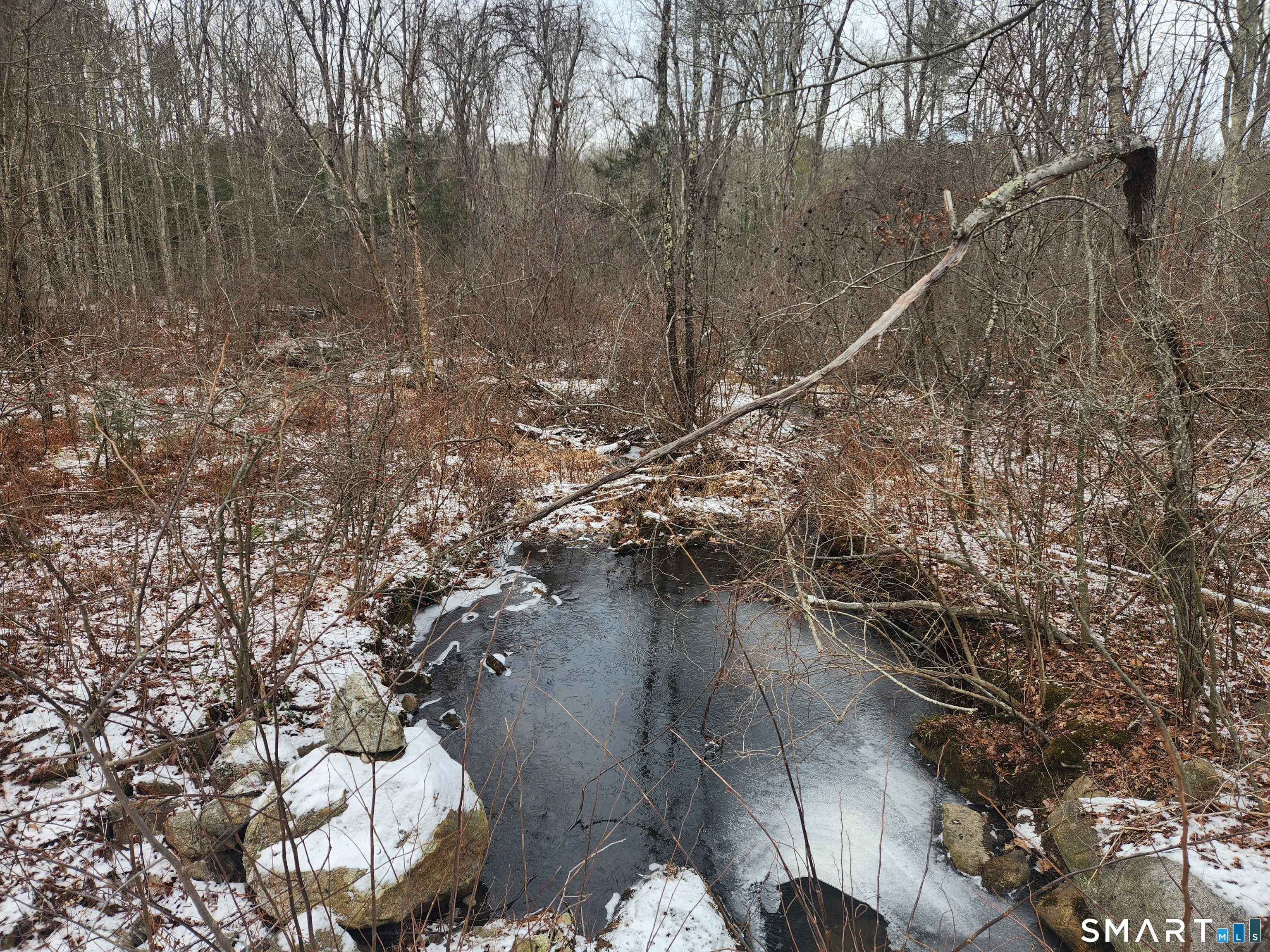 Lyon Hill Road Woodstock, CT 06281 - Photo 20 of 22