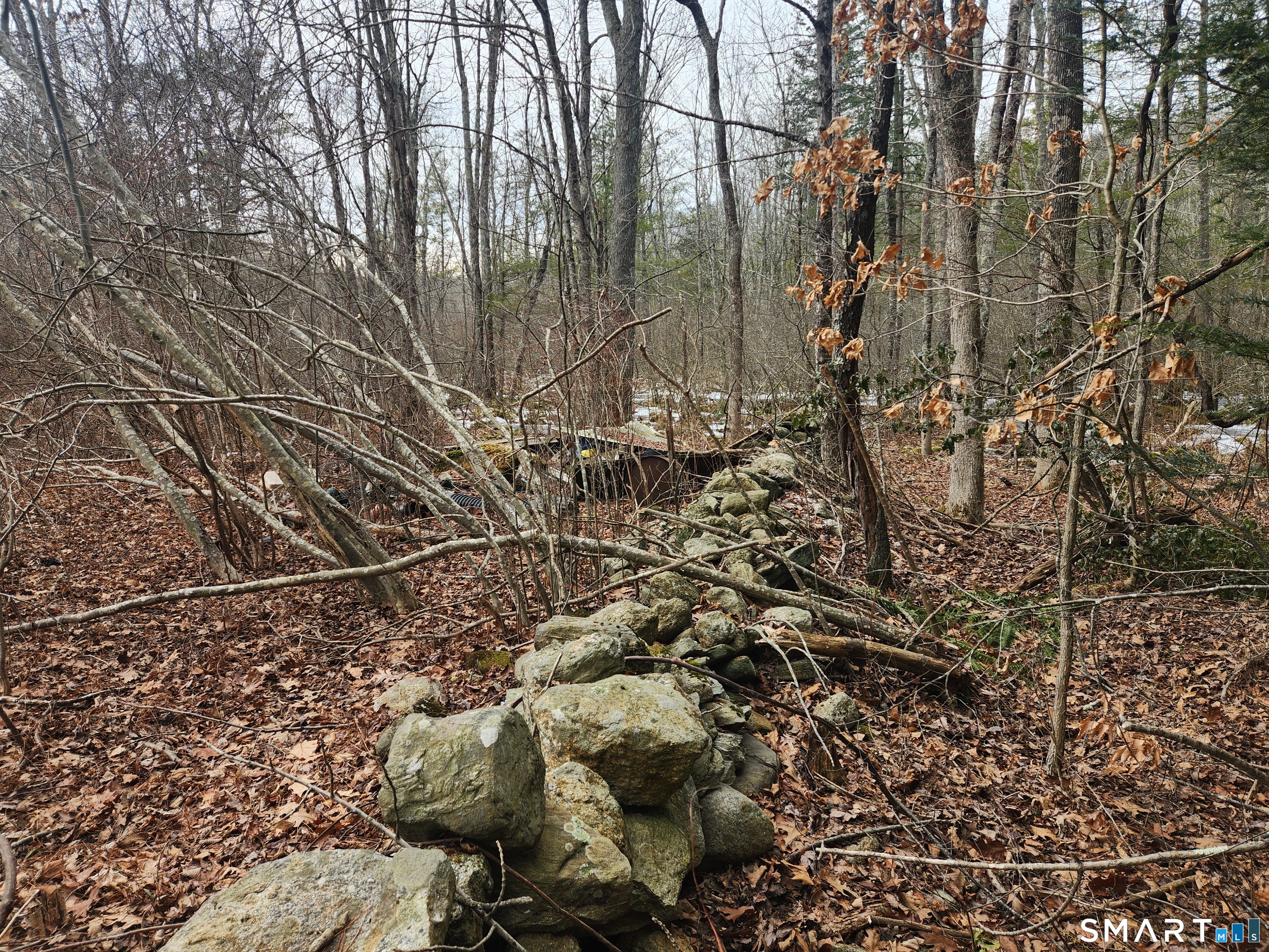 Lyon Hill Road Woodstock, CT 06281 - Photo 21 of 22