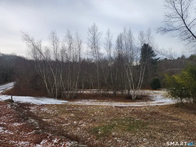 a view of outdoor space with trees