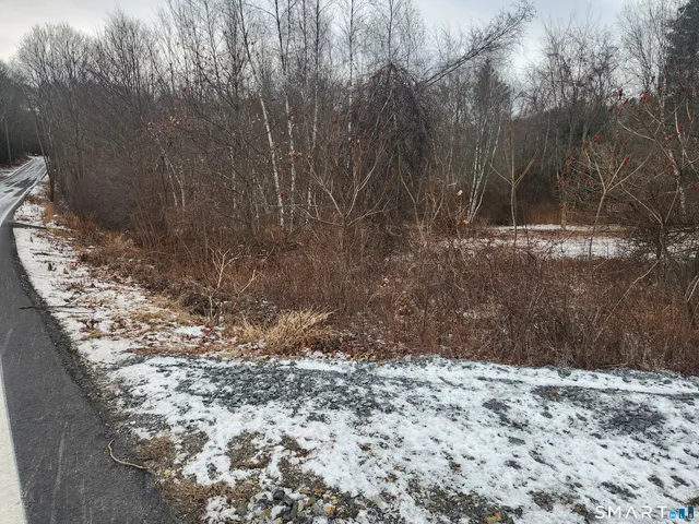 a view of a yard with trees