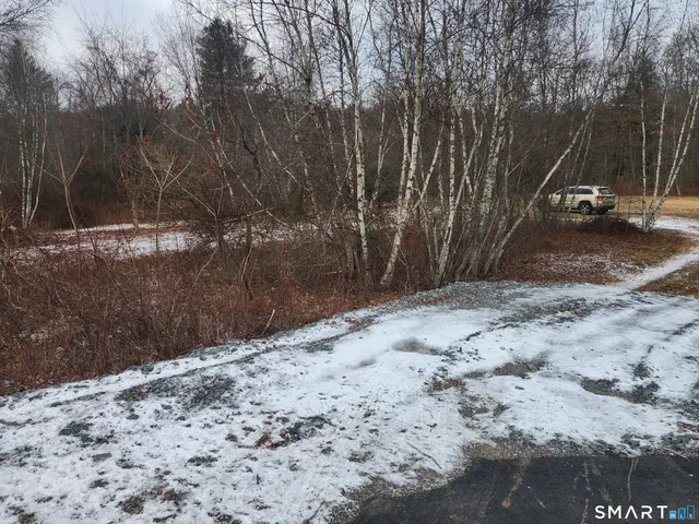a view of a yard covered with snow in the yard