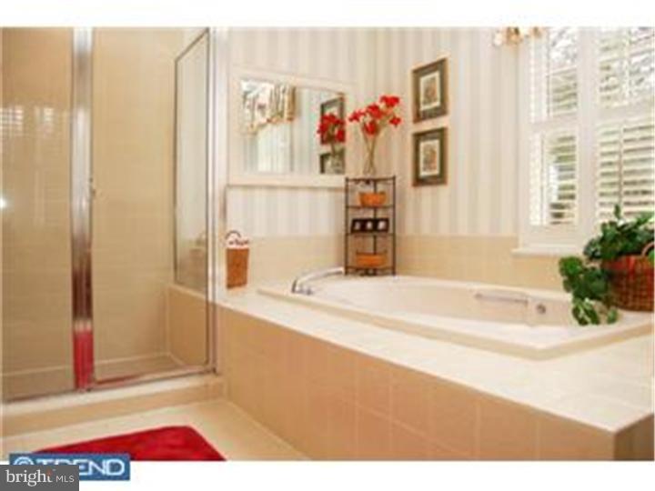 239 Ravenscliff Road Wayne, PA 19087 - Photo 10 of 12 Master Bathroom