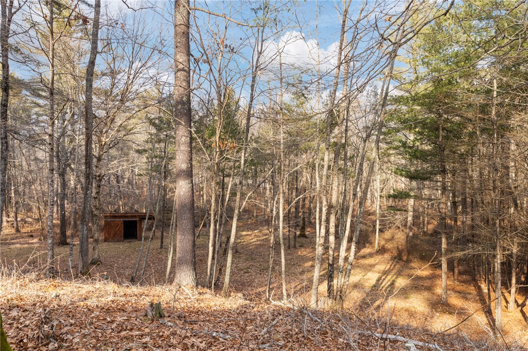 60 Meadowbrook Road Richmond, RI 02898 - Photo 41 of 44 3rd Run-in shelter