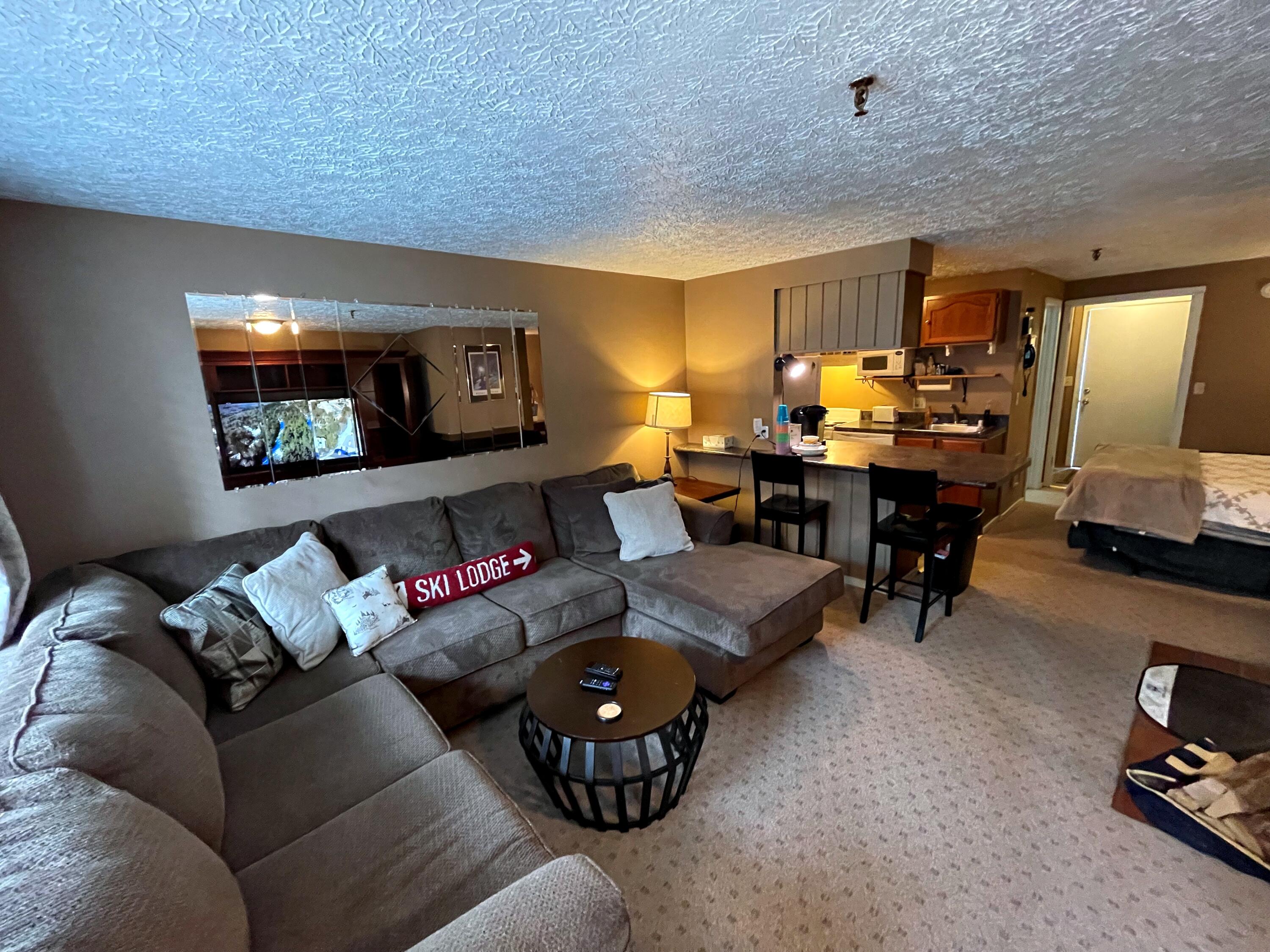 56 Ridgewood Street Snowshoe, WV 26209 - Photo 2 of 16 Gallery Image 2