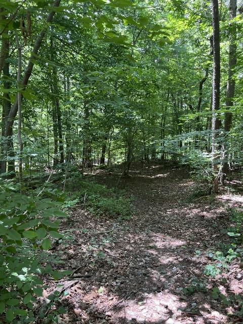 5585 Browns Bridge Road Cumming, GA 30041 - Photo 35 of 36