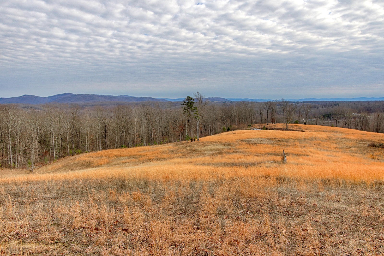1240 Grape Rough Road Oneida, TN 37841 - Photo 7 of 40