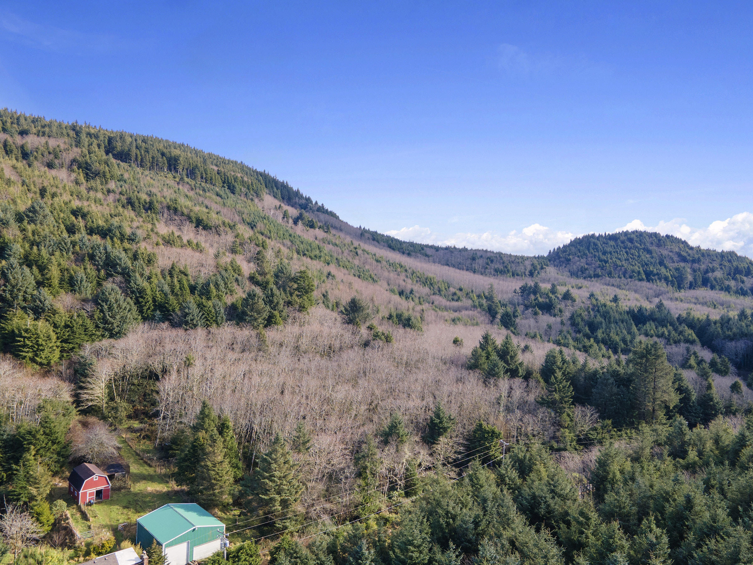 V/l Cape Meares Loop Tillamook, OR 97141 - Photo 8 of 11 oceanside_6