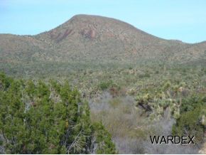 426 Shadow Ridge Drive Yucca, AZ 86438 - Photo 11 of 12 Additional Photo