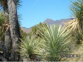426 Shadow Ridge Drive Yucca, AZ 86438 - Photo 12 of 12 Additional Photo