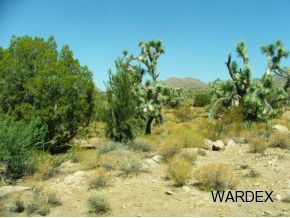 426 Shadow Ridge Drive Yucca, AZ 86438 - Photo 6 of 12 Additional Photo