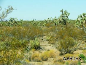 426 Shadow Ridge Drive Yucca, AZ 86438 - Photo 7 of 12 Additional Photo
