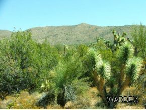 426 Shadow Ridge Drive Yucca, AZ 86438 - Photo 9 of 12 Additional Photo