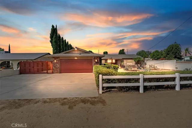 a view of a yard with plants and large trees