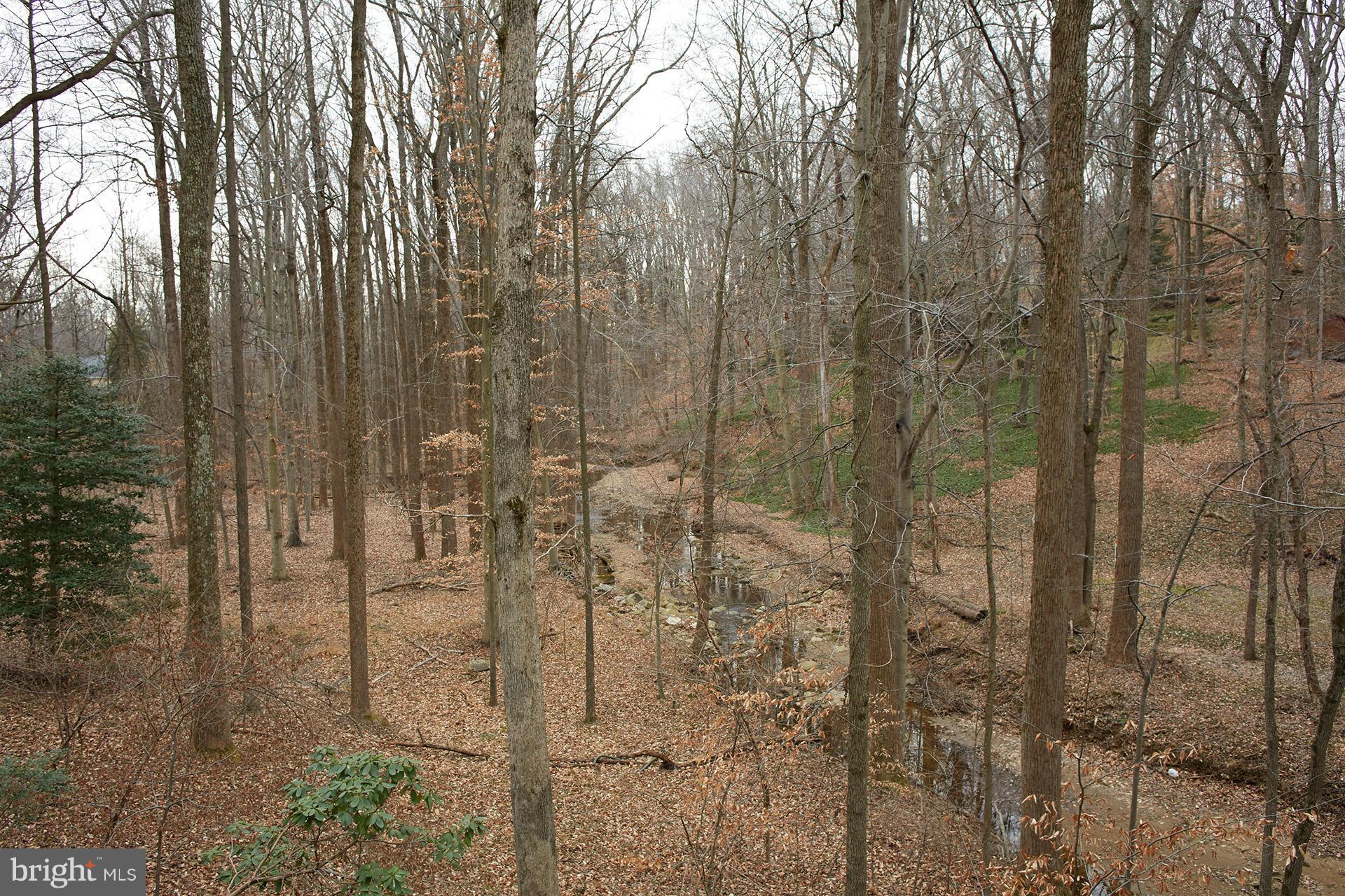 9323 Kendale Road Potomac, MD 20854 - Photo 8 of 12 Exterior (Rear)