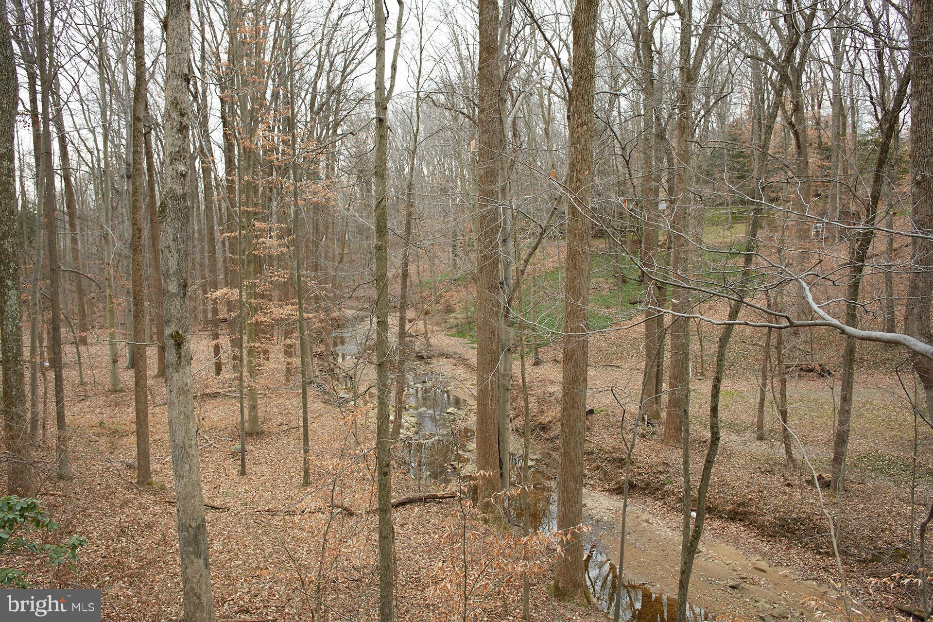 9323 Kendale Road Potomac, MD 20854 - Photo 10 of 12 Exterior (Rear)