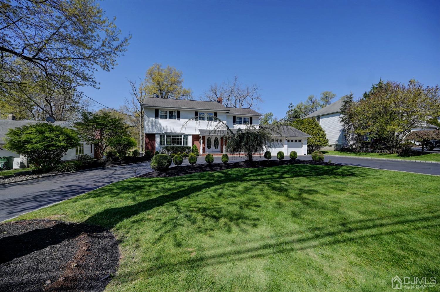 a view of a big yard with plants and large trees