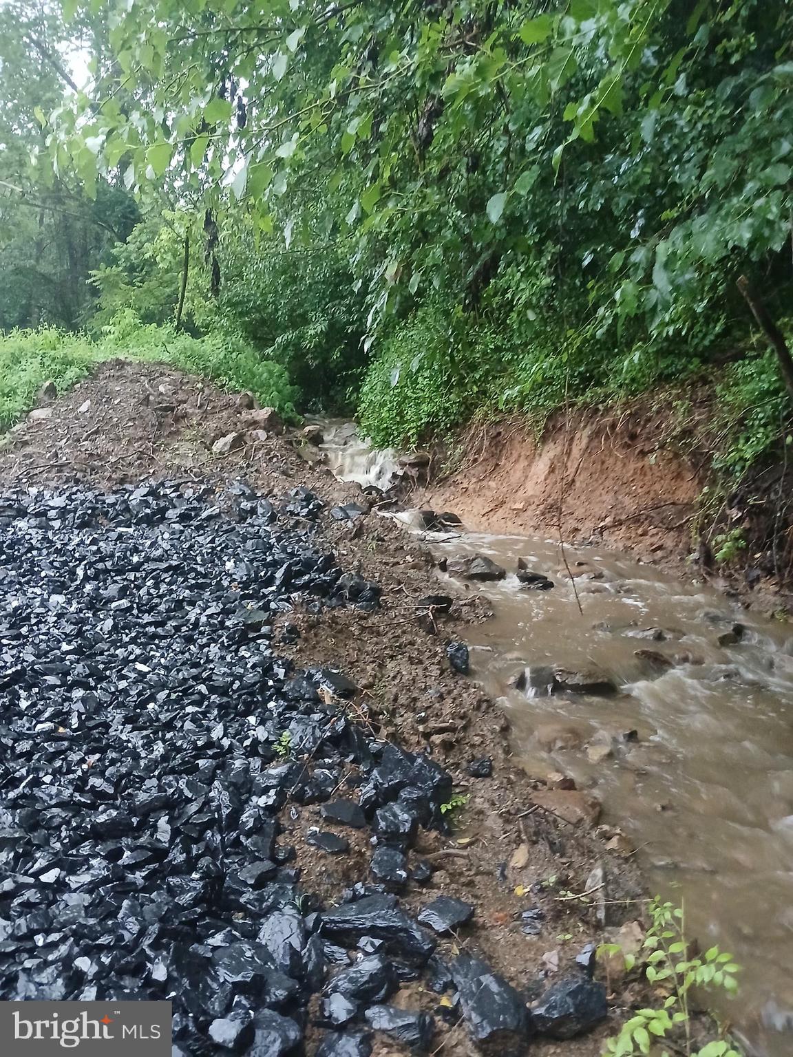 Carolyns Way Linden, VA 22642 - Photo 6 of 12 Creek in back of the lot