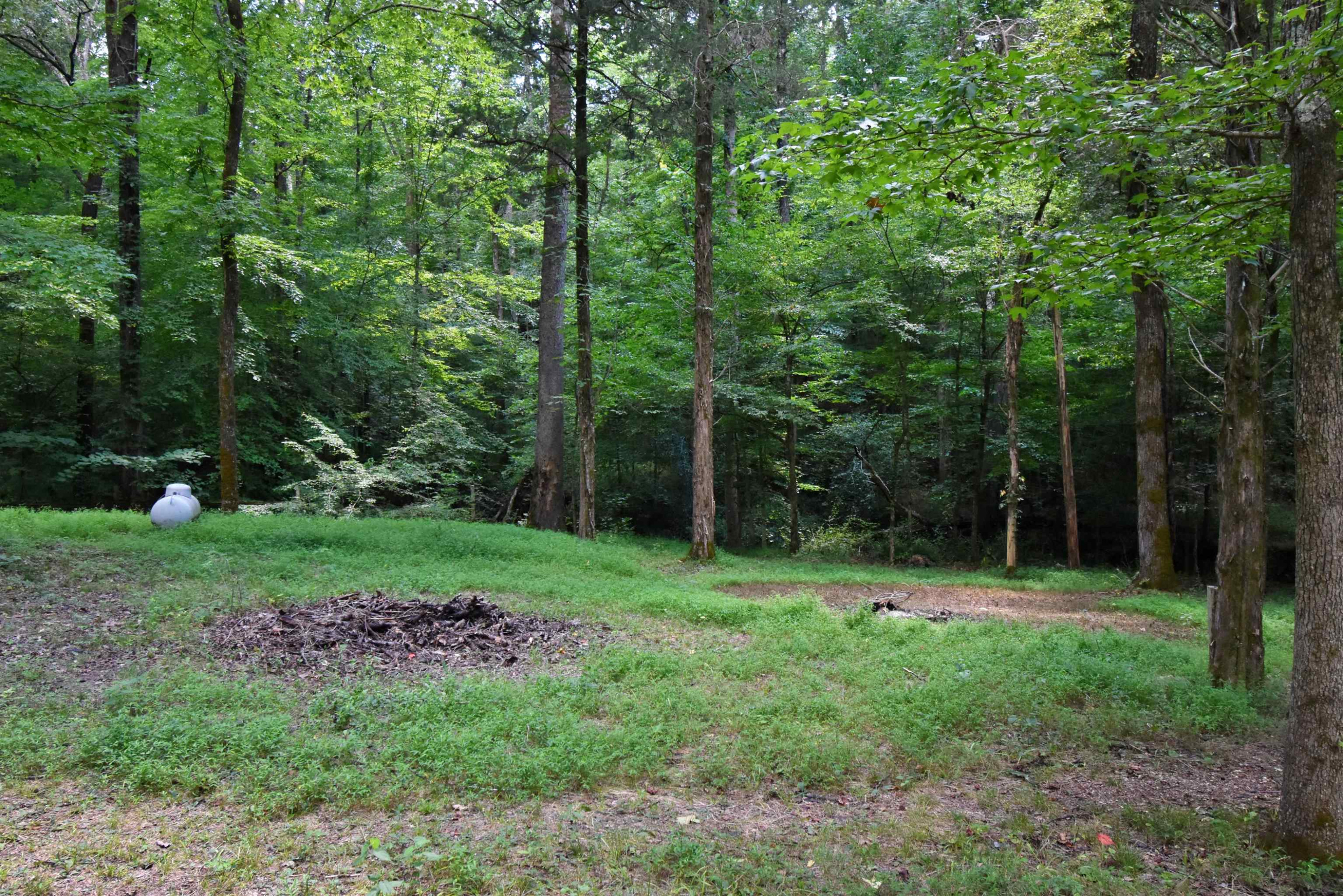 133-420 Slink Shoals Road Linden, TN 37096 - Photo 3 of 18 Photo 3