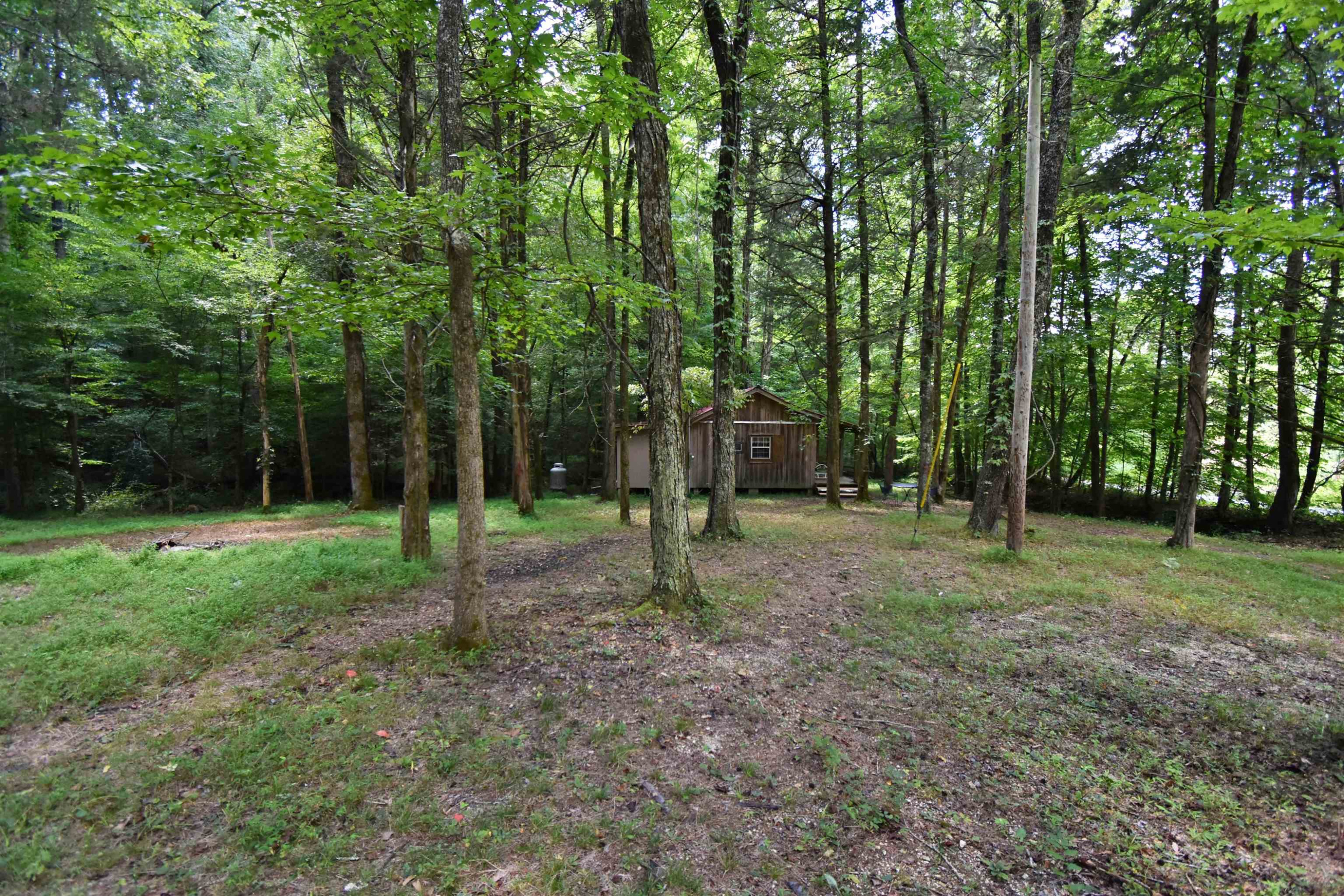 133-420 Slink Shoals Road Linden, TN 37096 - Photo 4 of 18 Photo 4