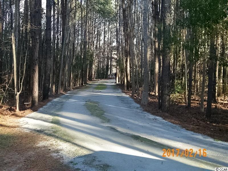 458 East Bear Grass Road East Longs, SC 29568 - Photo 25 of 25 Gallery Image 25