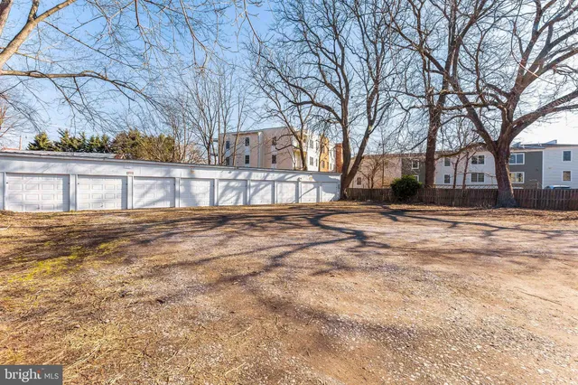 a view of road with large trees