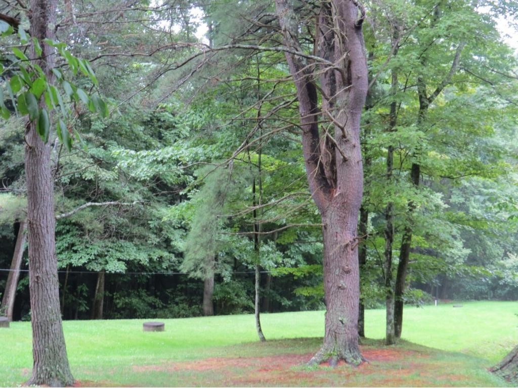 198 Pendell Hill Road Whitney Point, NY 13862 - Photo 7 of 30 Gallery Image 7