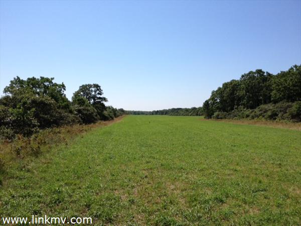 42 West Farm Road West Tisbury, MA 02568 - Photo 6 of 50 http://d1qzqeyxiitrap.cloudfront.net/photos/23074/600/b5efd4f0.jpg