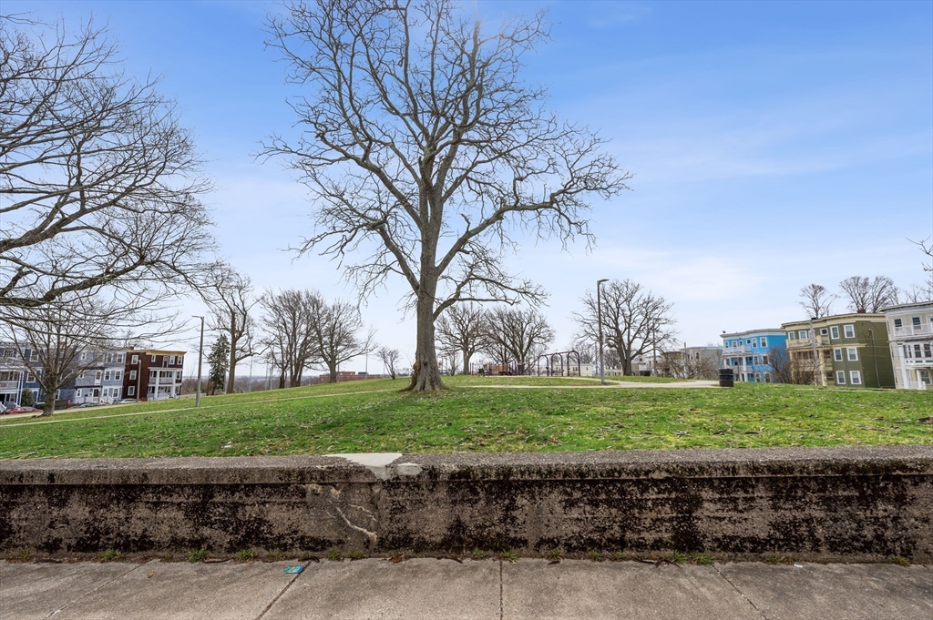 6 Marie Street, Unit 3 Boston, MA 02122 - Photo 23 of 25 a view of a park with a house in the background