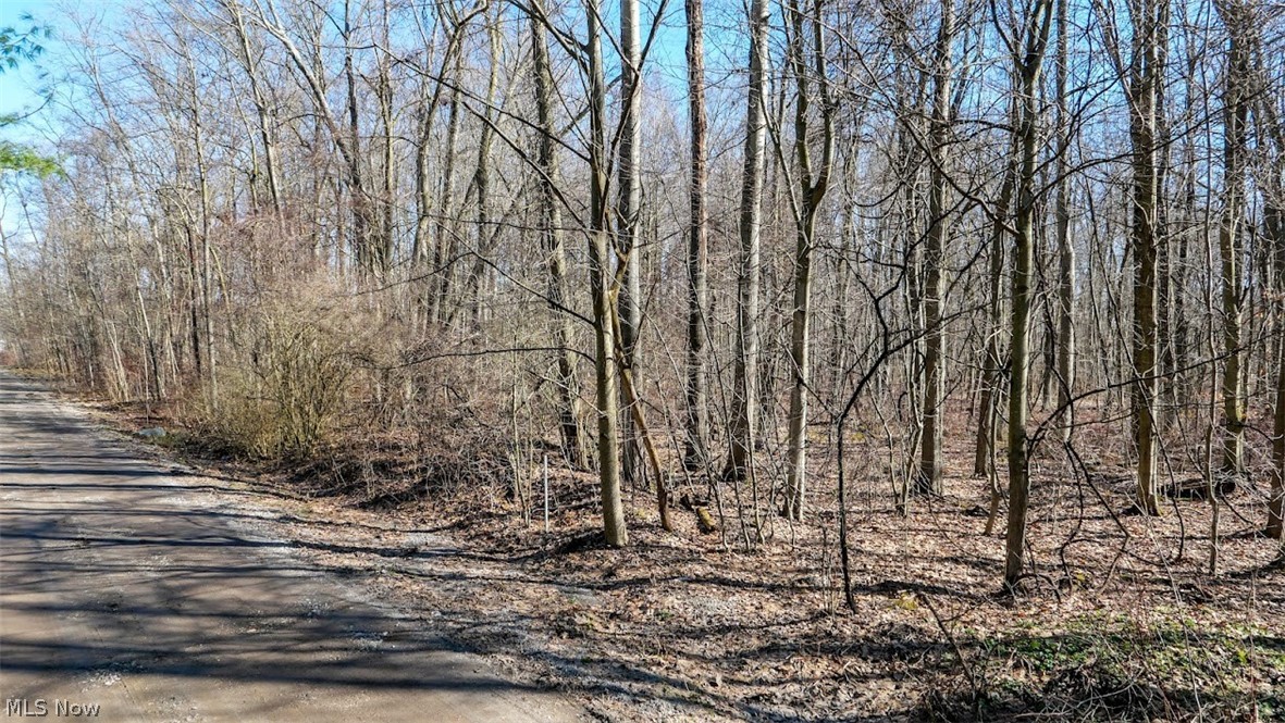 View of dirt / gravel road