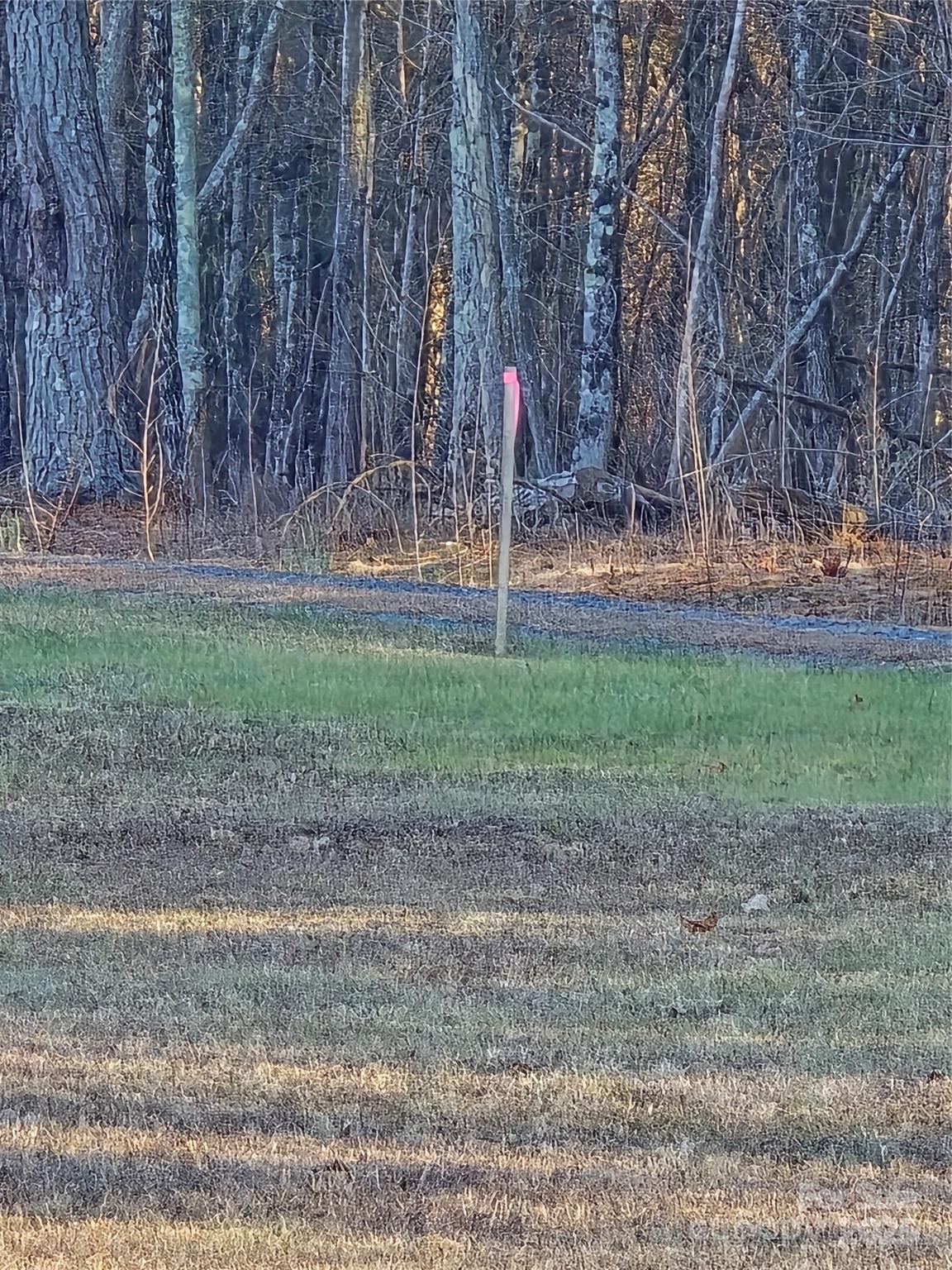 0 Palestine Road Albemarle, NC 28001 - Photo 13 of 34 a backyard of a house with lots of green space