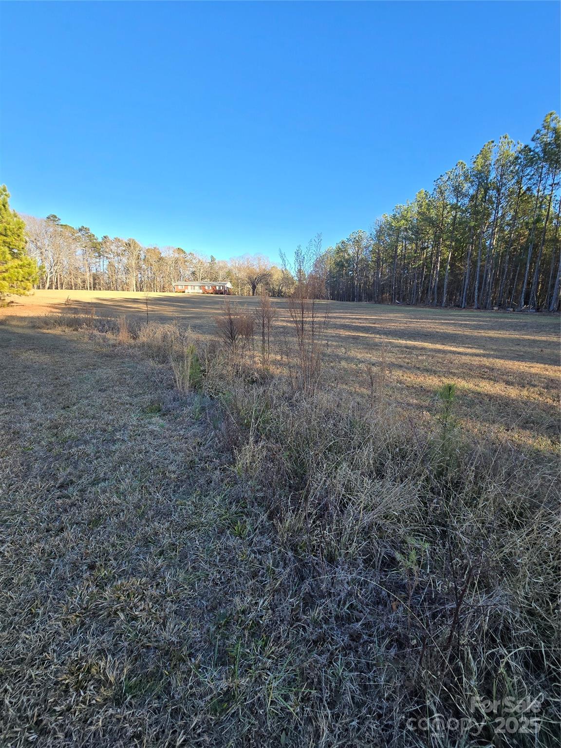 0 Palestine Road Albemarle, NC 28001 - Photo 18 of 34 a view of a yard with an outdoor space