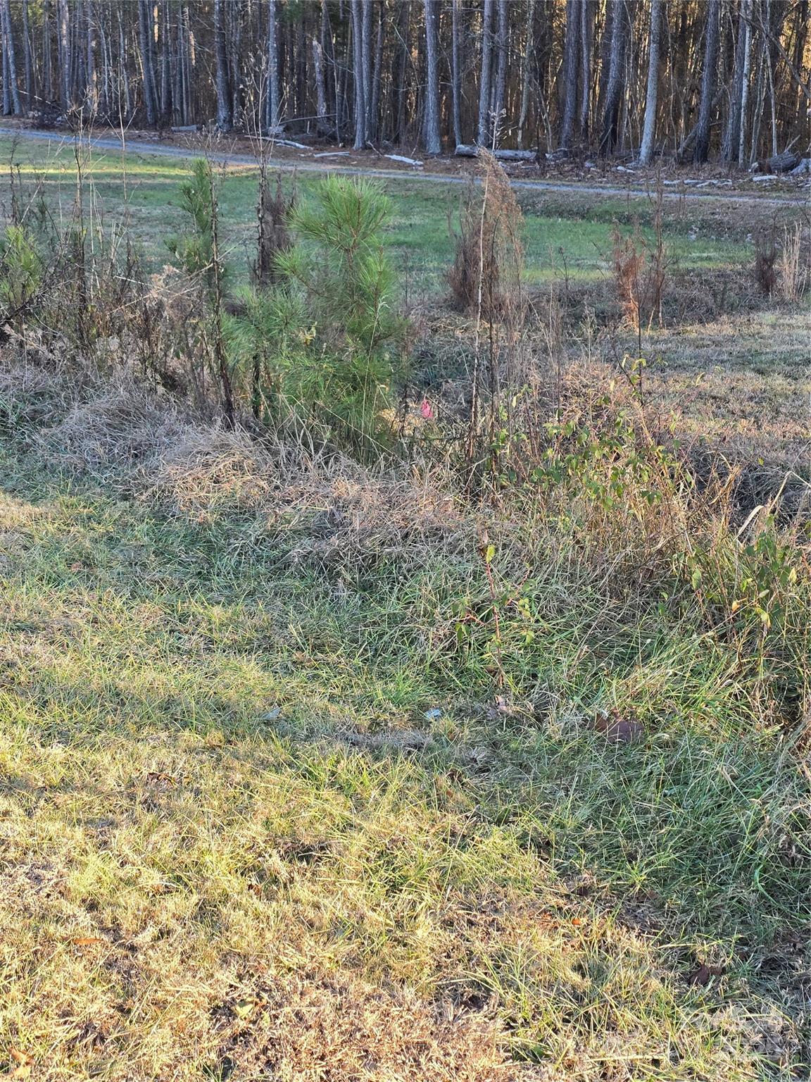 0 Palestine Road Albemarle, NC 28001 - Photo 19 of 34 a backyard of a house with lots of green space