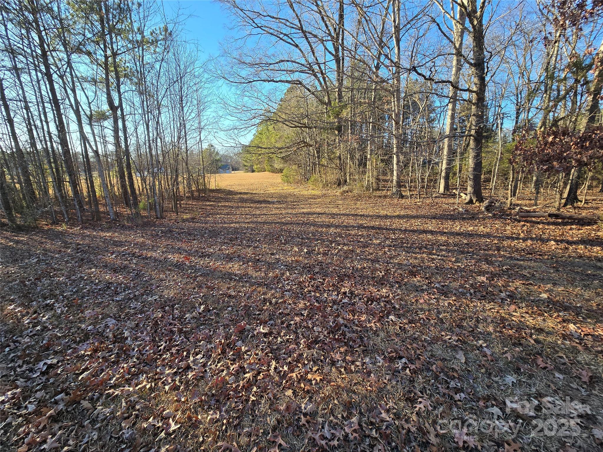 0 Palestine Road Albemarle, NC 28001 - Photo 2 of 34 a backyard of a house with lots of green space