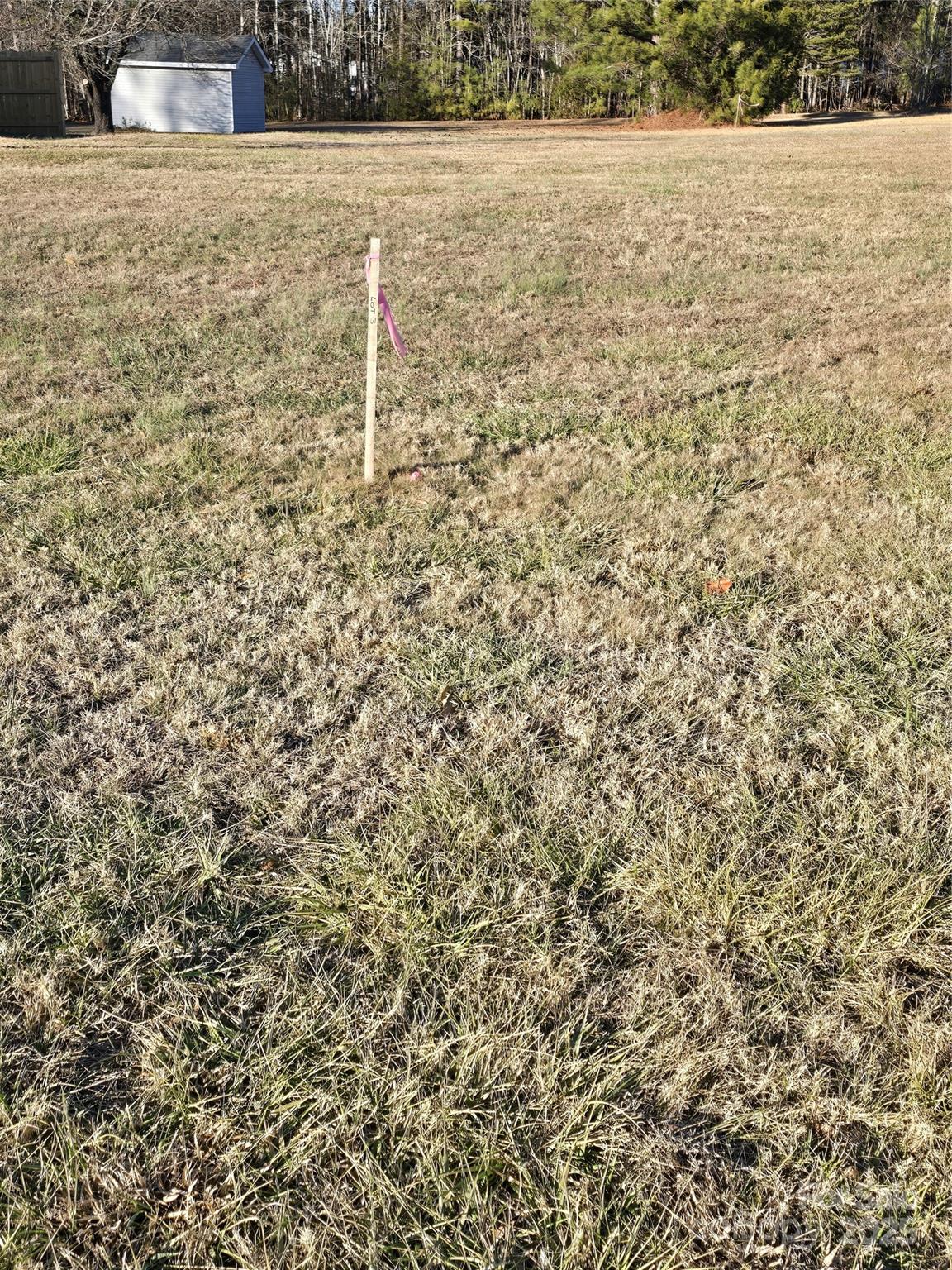 0 Palestine Road Albemarle, NC 28001 - Photo 21 of 34 a view of a yard with an empty space