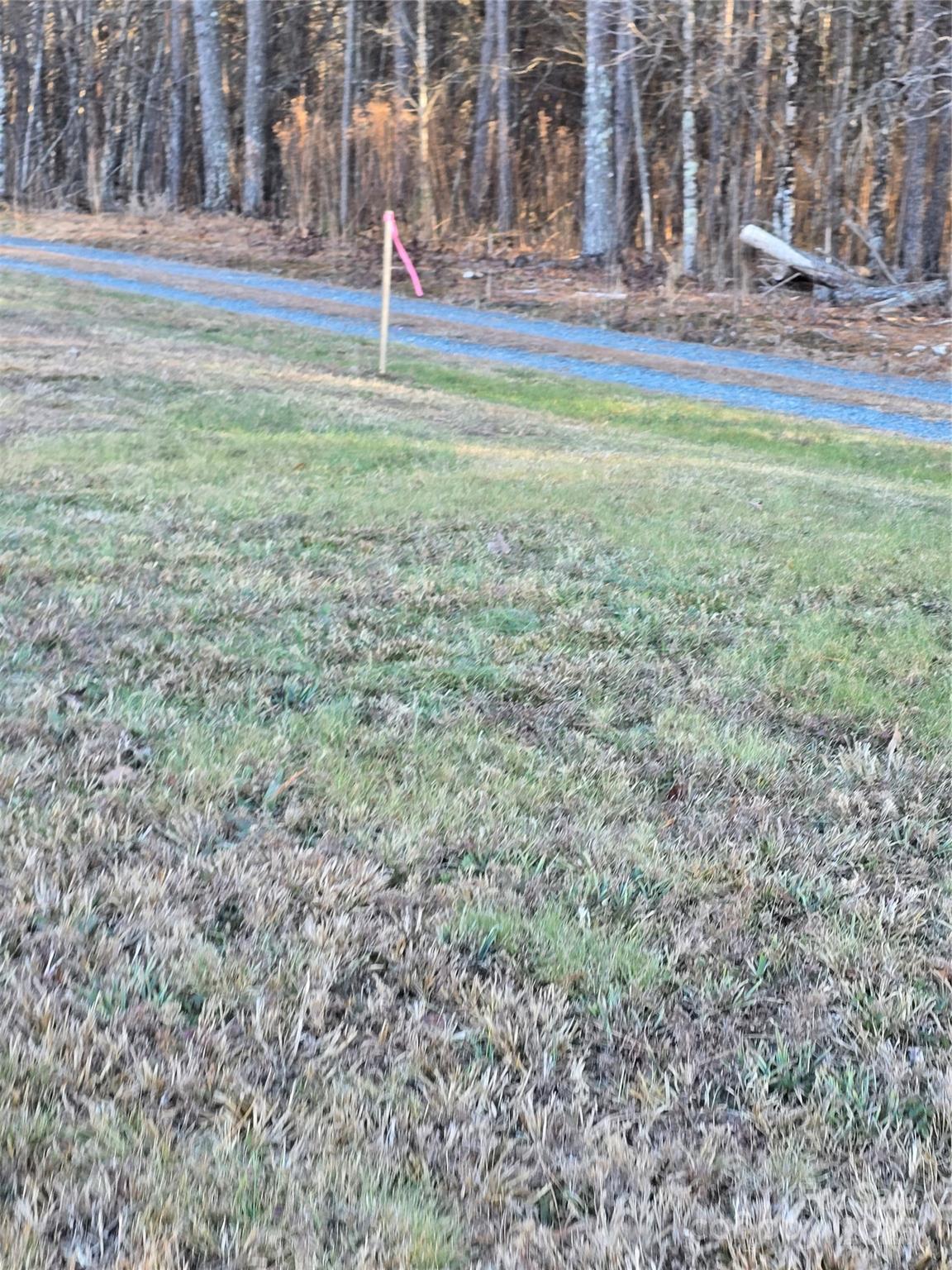 0 Palestine Road Albemarle, NC 28001 - Photo 22 of 34 a backyard of apartments with large trees