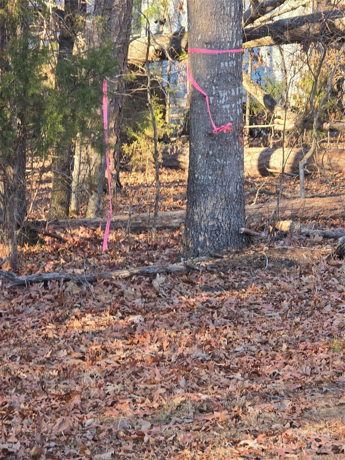 0 Palestine Road Albemarle, NC 28001 - Photo 23 of 34 a view of door