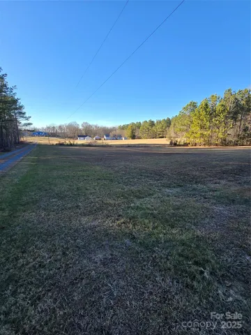 a view of a yard with large trees