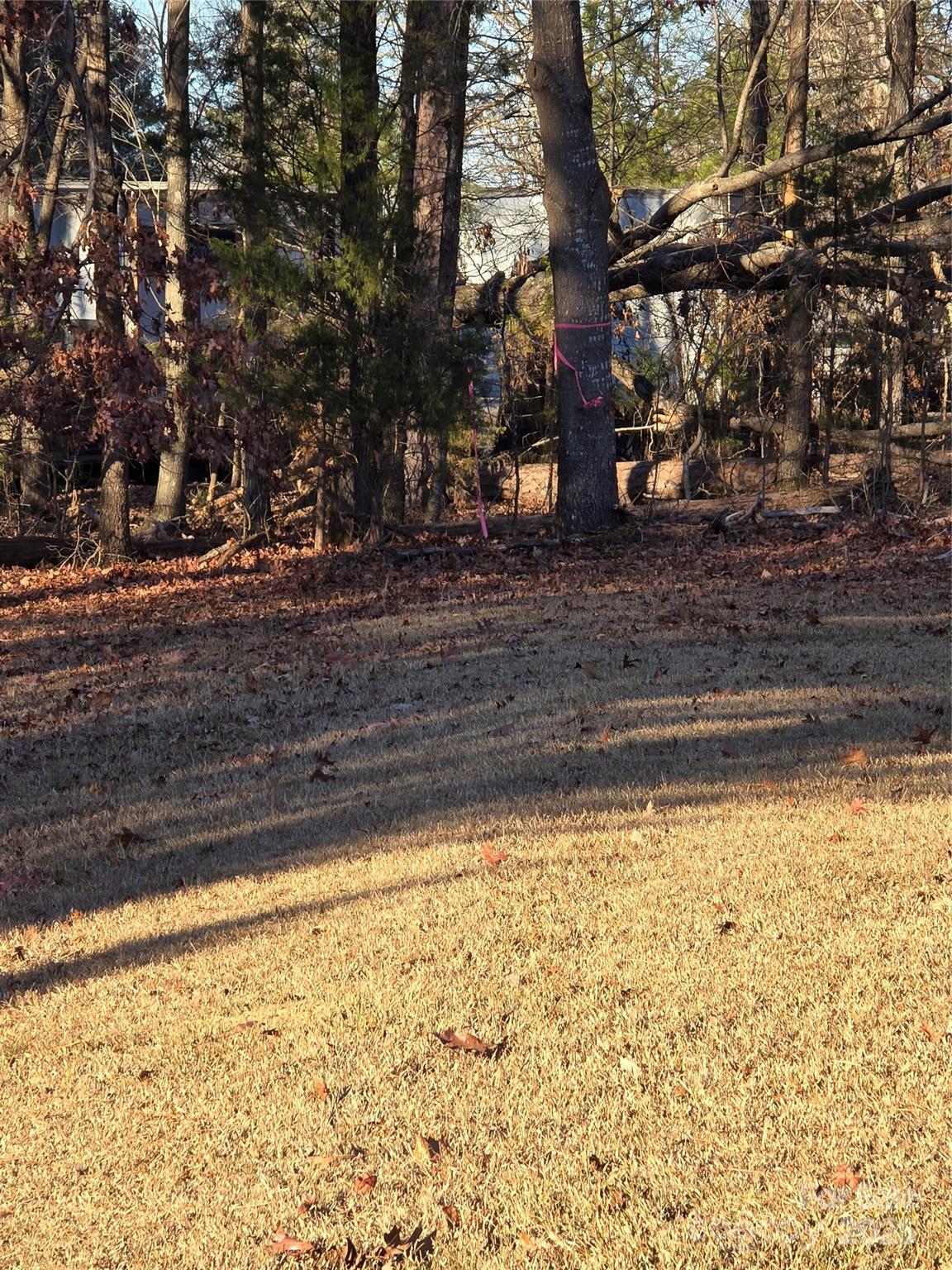 0 Palestine Road Albemarle, NC 28001 - Photo 26 of 34 a view of a yard with large trees