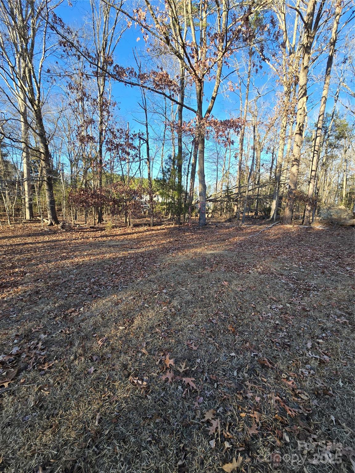 0 Palestine Road Albemarle, NC 28001 - Photo 29 of 34 a view of road with trees