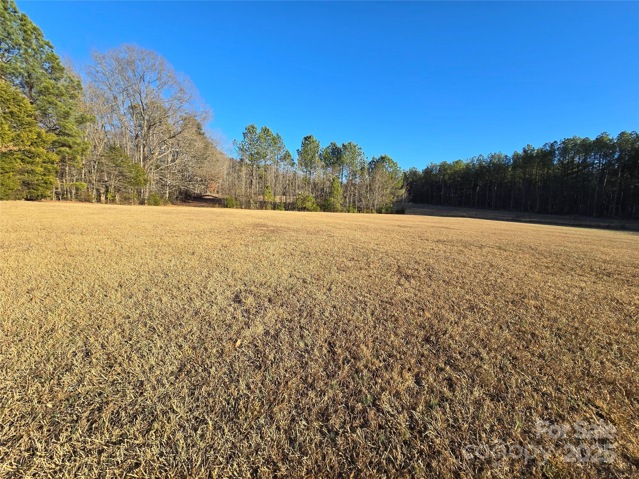 0 Palestine Road Albemarle, NC 28001 - Photo 32 of 34 a view of an outdoor space and a yard
