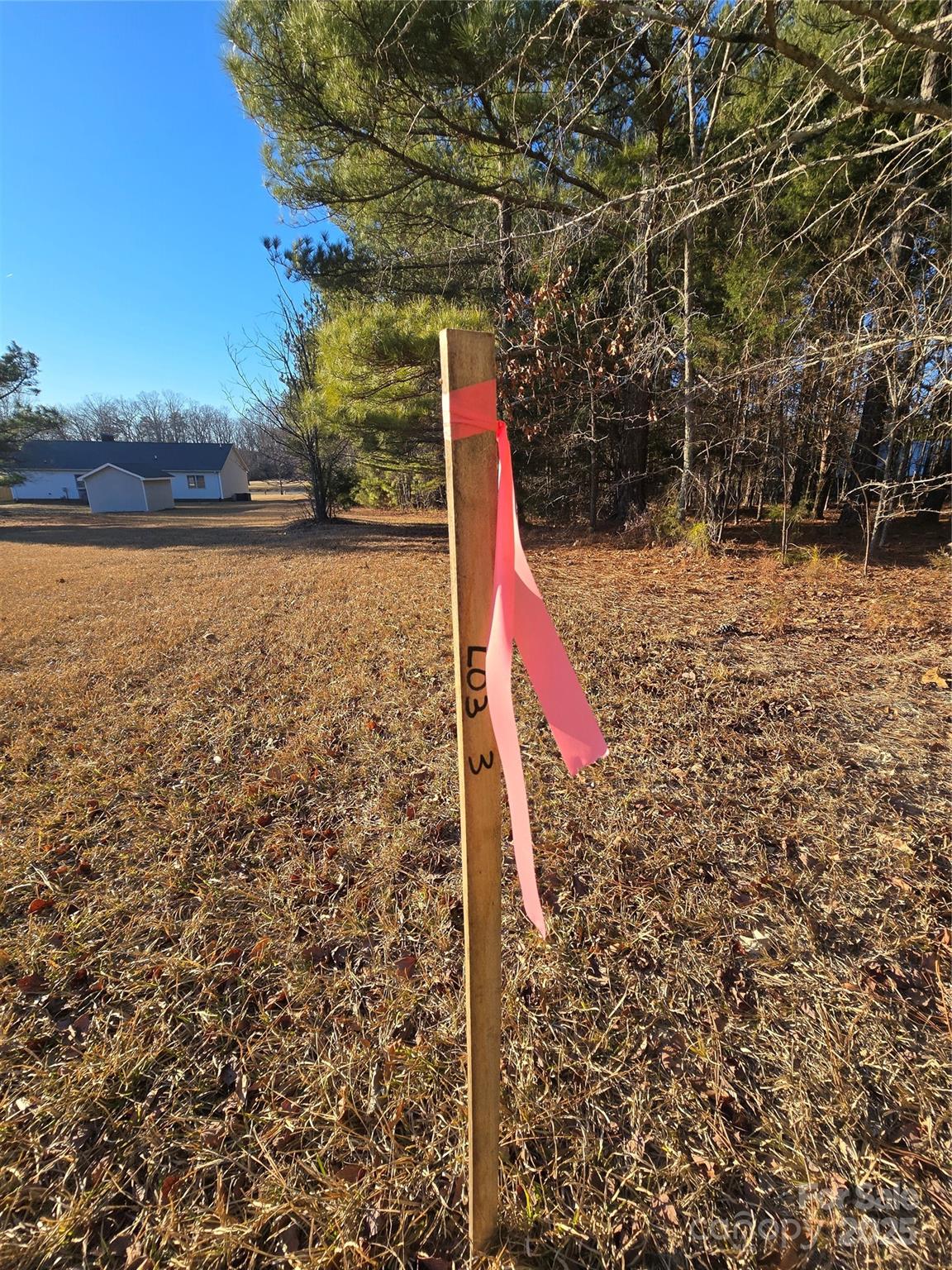 0 Palestine Road Albemarle, NC 28001 - Photo 33 of 34 a view of a yard with a slide