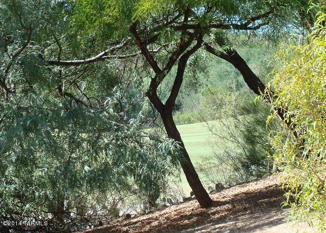 5855 North Kolb Road, Unit 9102 Tucson, AZ 85750 - Photo 4 of 7 image-12
