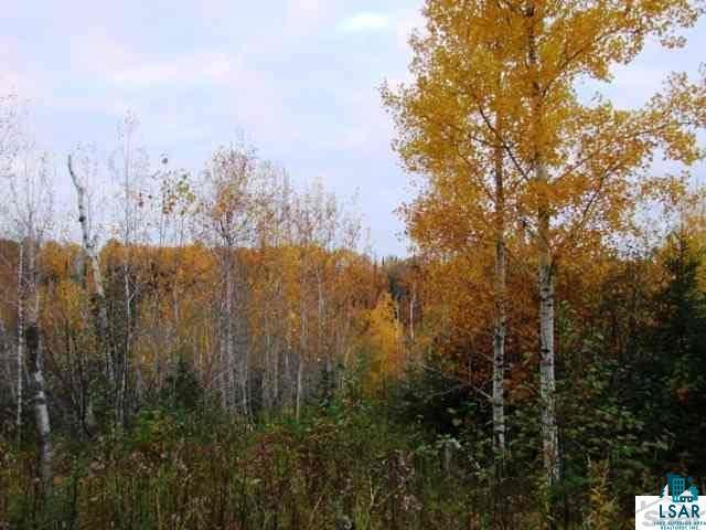 8484 Boat Landing Road South Range, WI 54874 - Photo 6 of 10