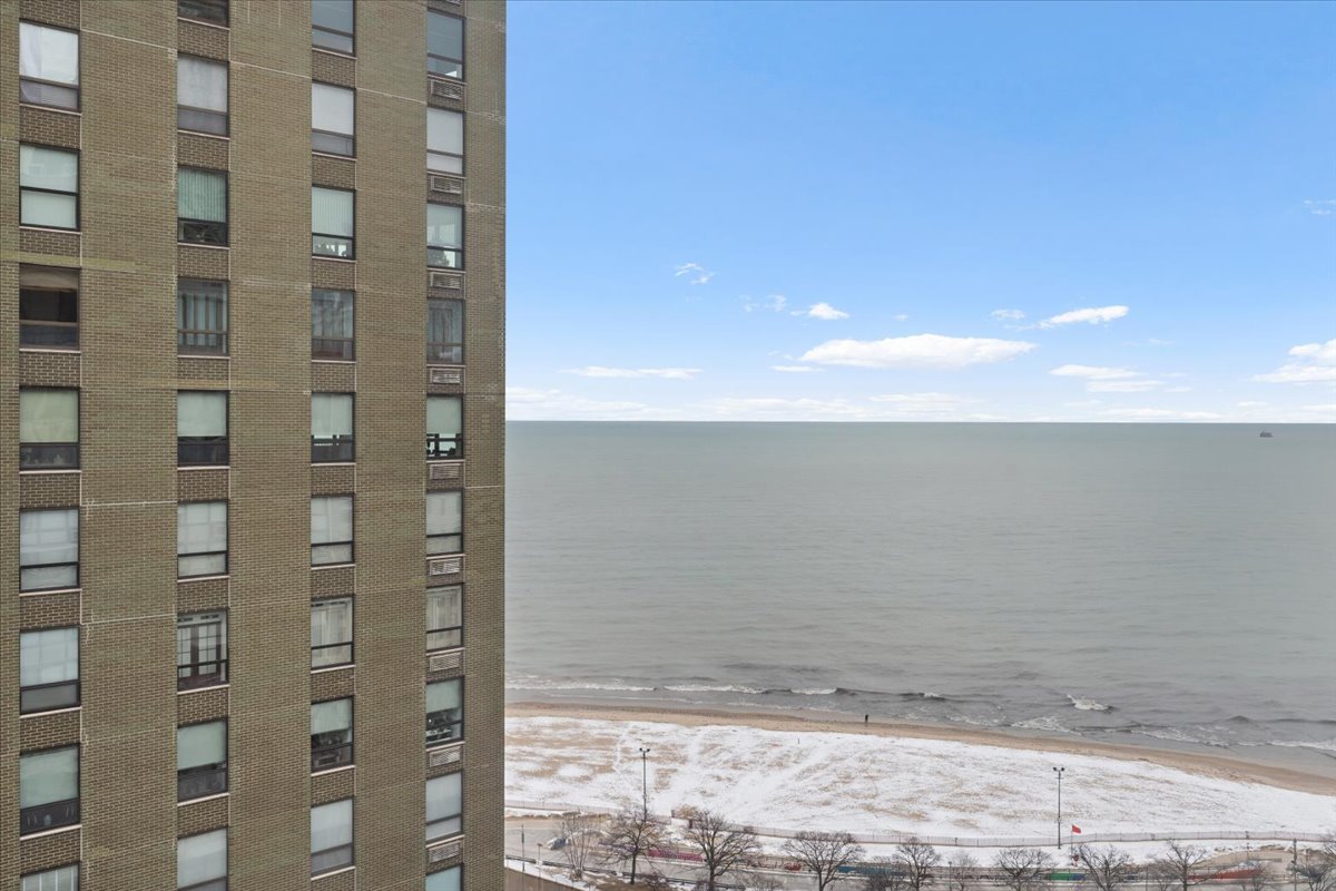 1000 North Lake Shore Plaza, Unit 2302 Chicago, IL 60611 - Photo 18 of 23