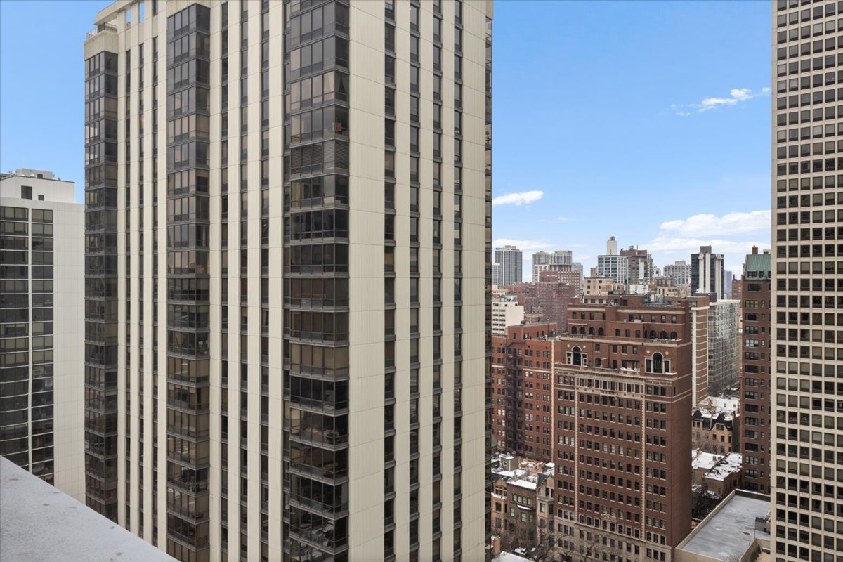 1000 North Lake Shore Plaza, Unit 2302 Chicago, IL 60611 - Photo 19 of 23