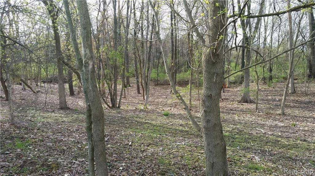 Par B-2 Par B-2 Lane Howell, MI 48843 - Photo 6 of 10