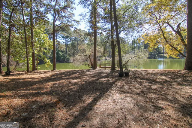 a view of lake with tree