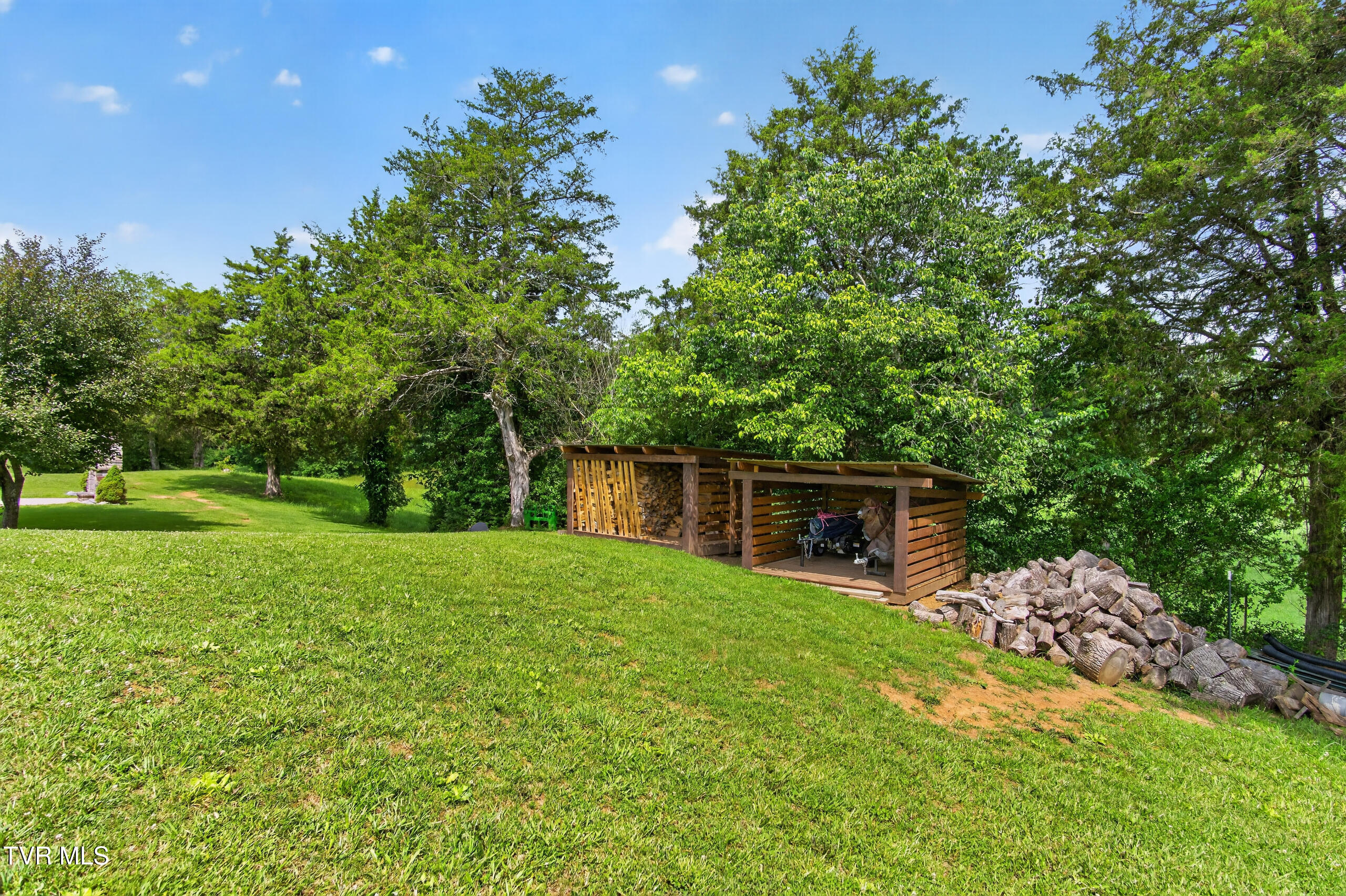 835 John Bird Road Afton, TN 37616 - Photo 127 of 158 DSC06744