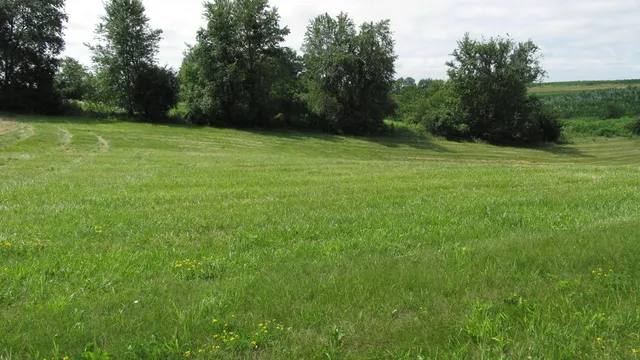 $48,900 | Lot 15 16th Fairway Drive, Viroqua, WI 54665