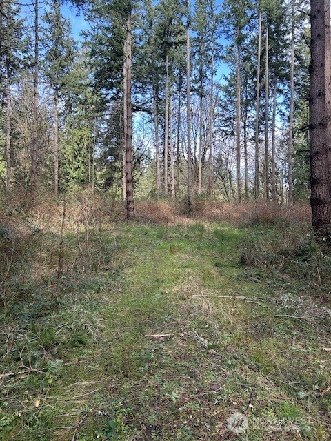 -xxx Hellman Road Clinton, WA 98236 - Photo 2 of 8
